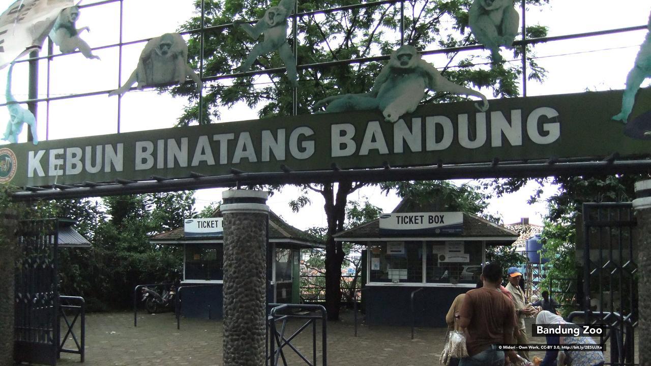 Zen Rooms Bukit Tunggul Бандунг Экстерьер фото